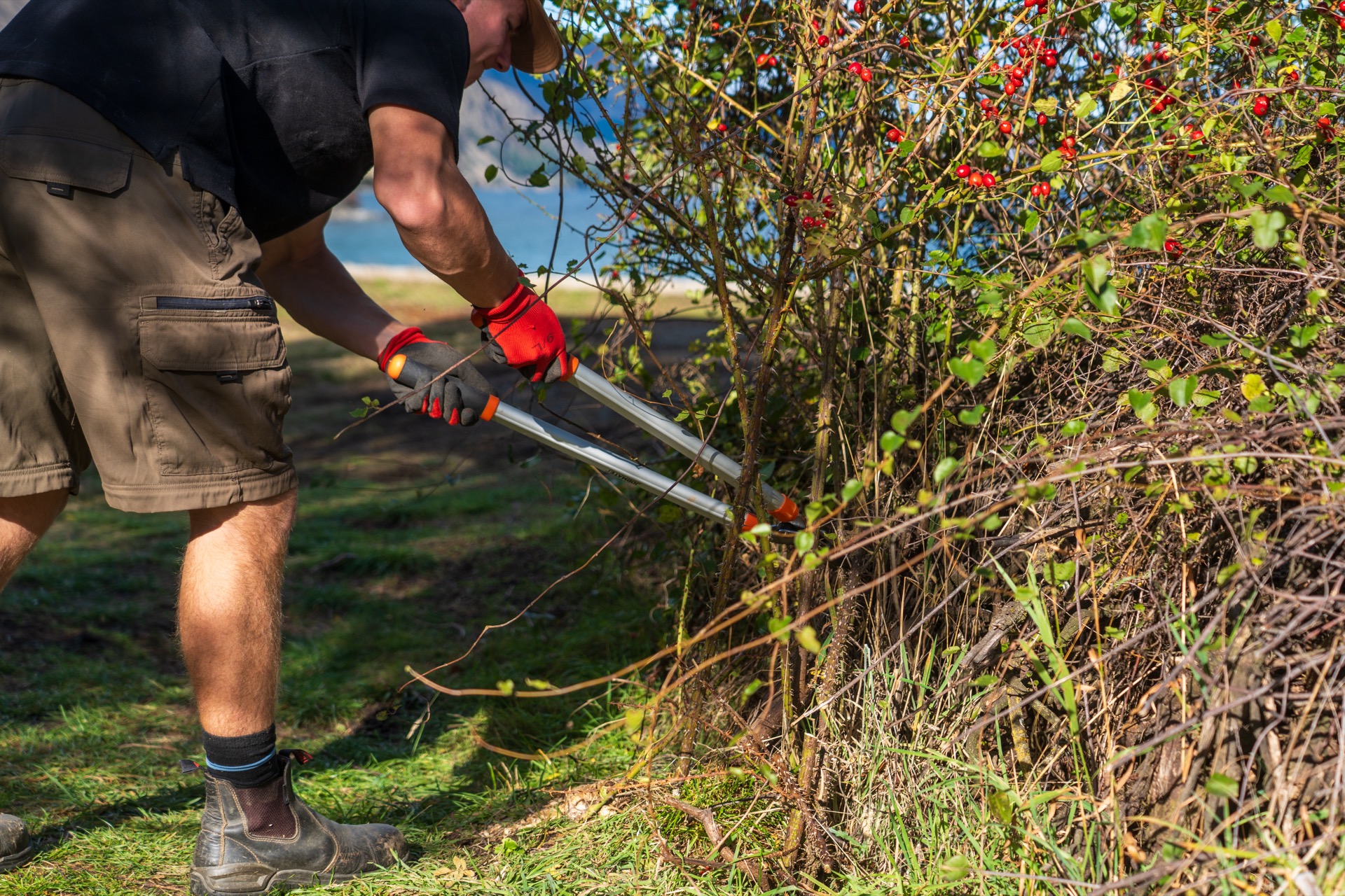 Garden maintenance Wānaka