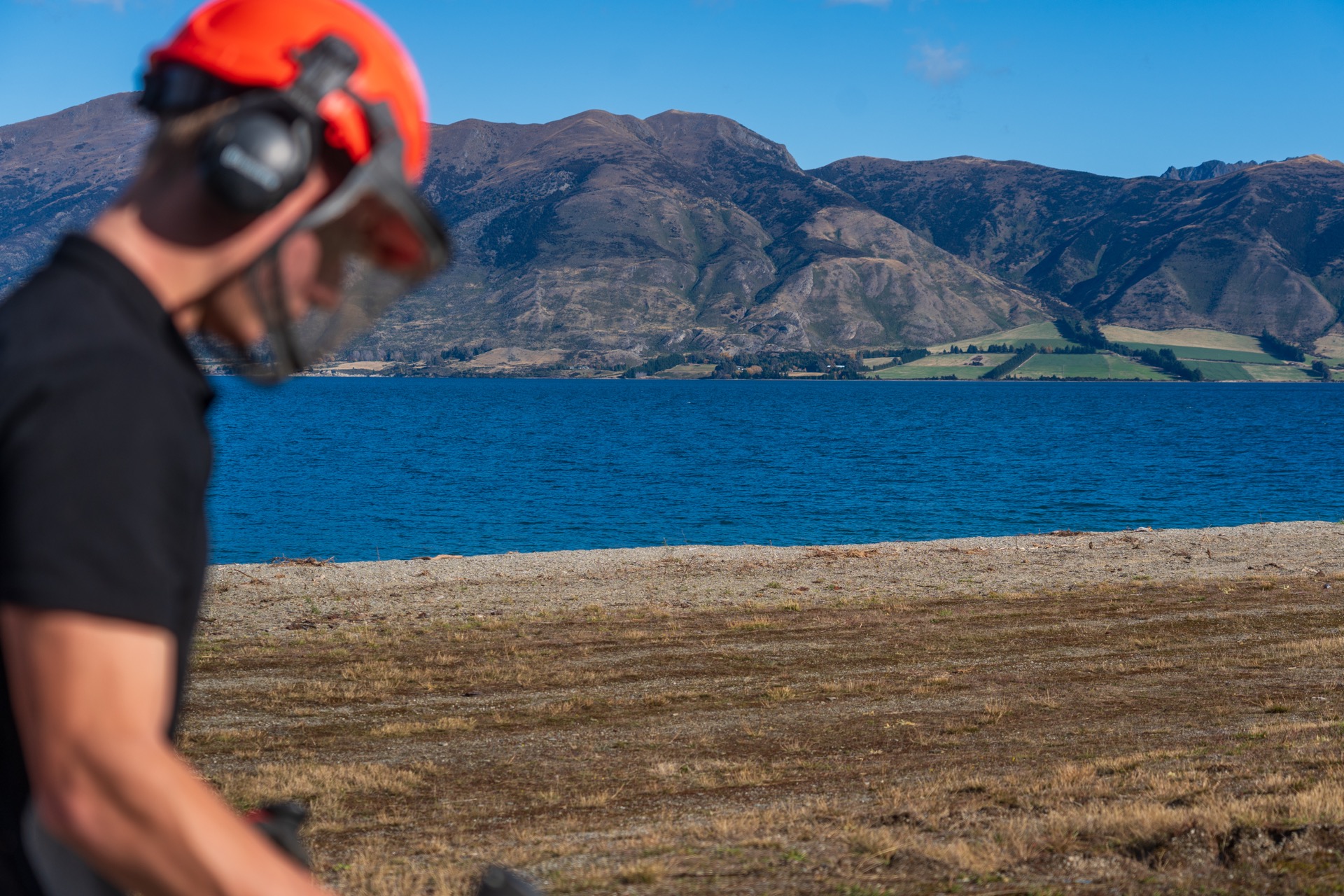 Planting services Wānaka