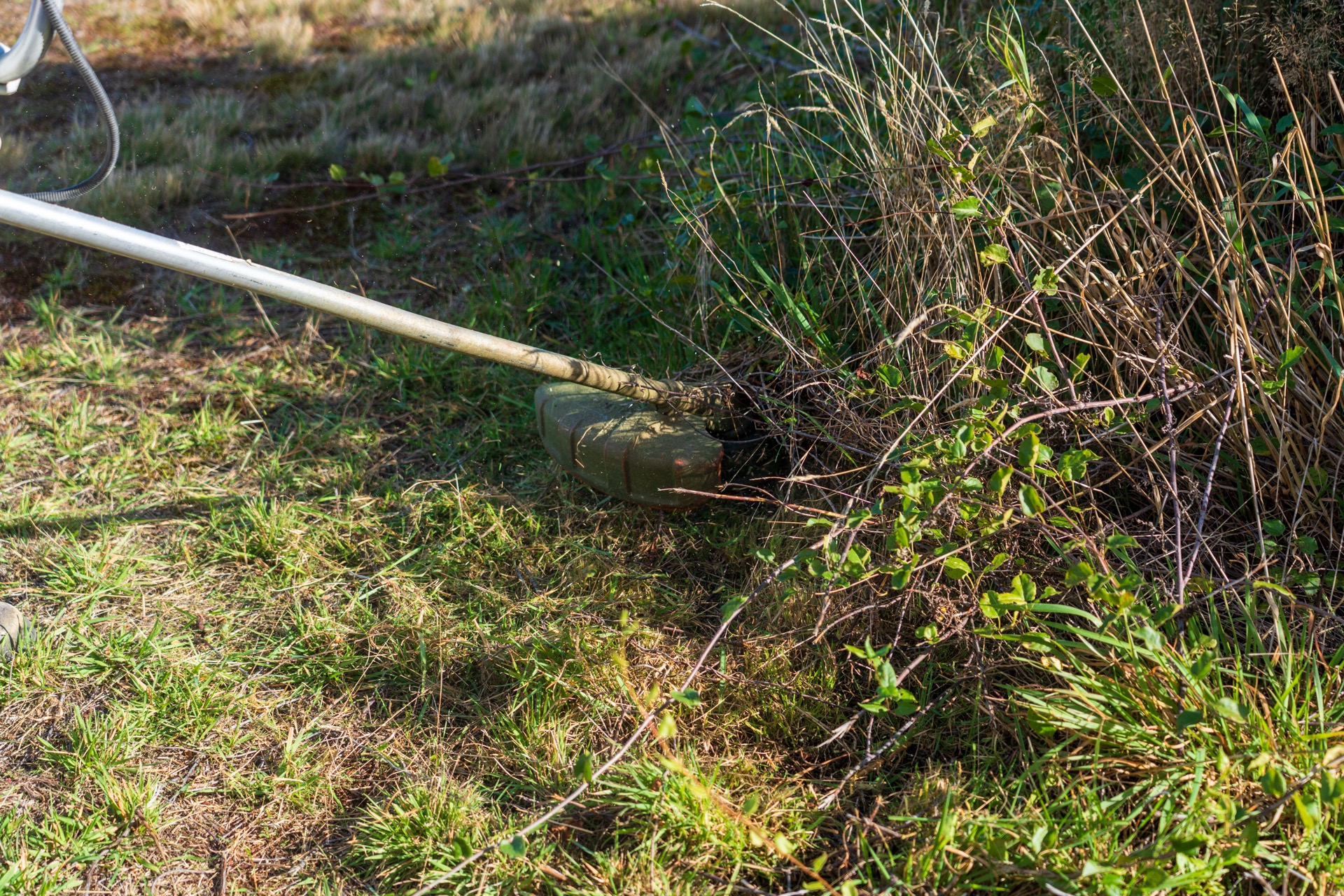 Hedge trimming Wānaka