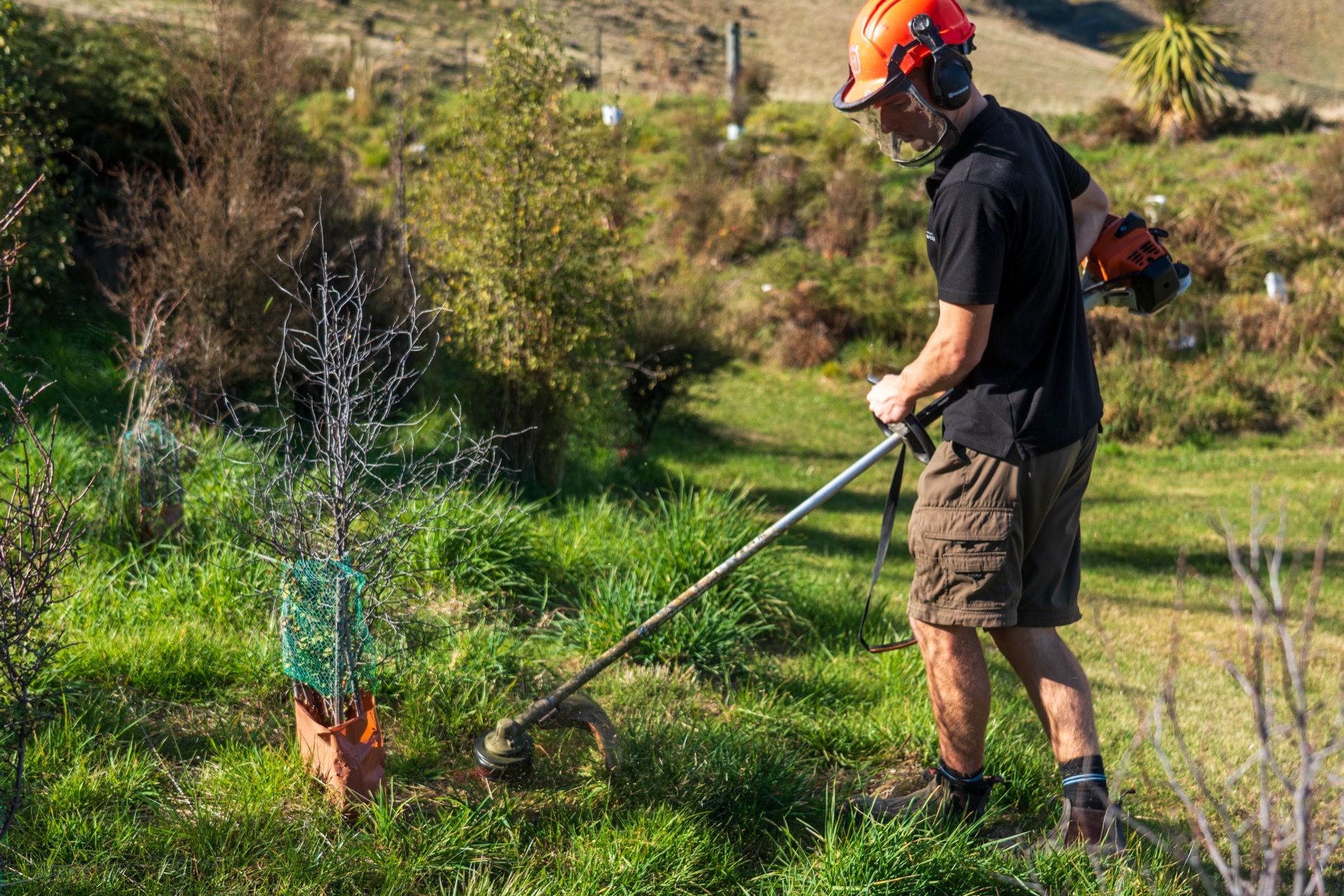 Garden work by The Tidy Yard Co.