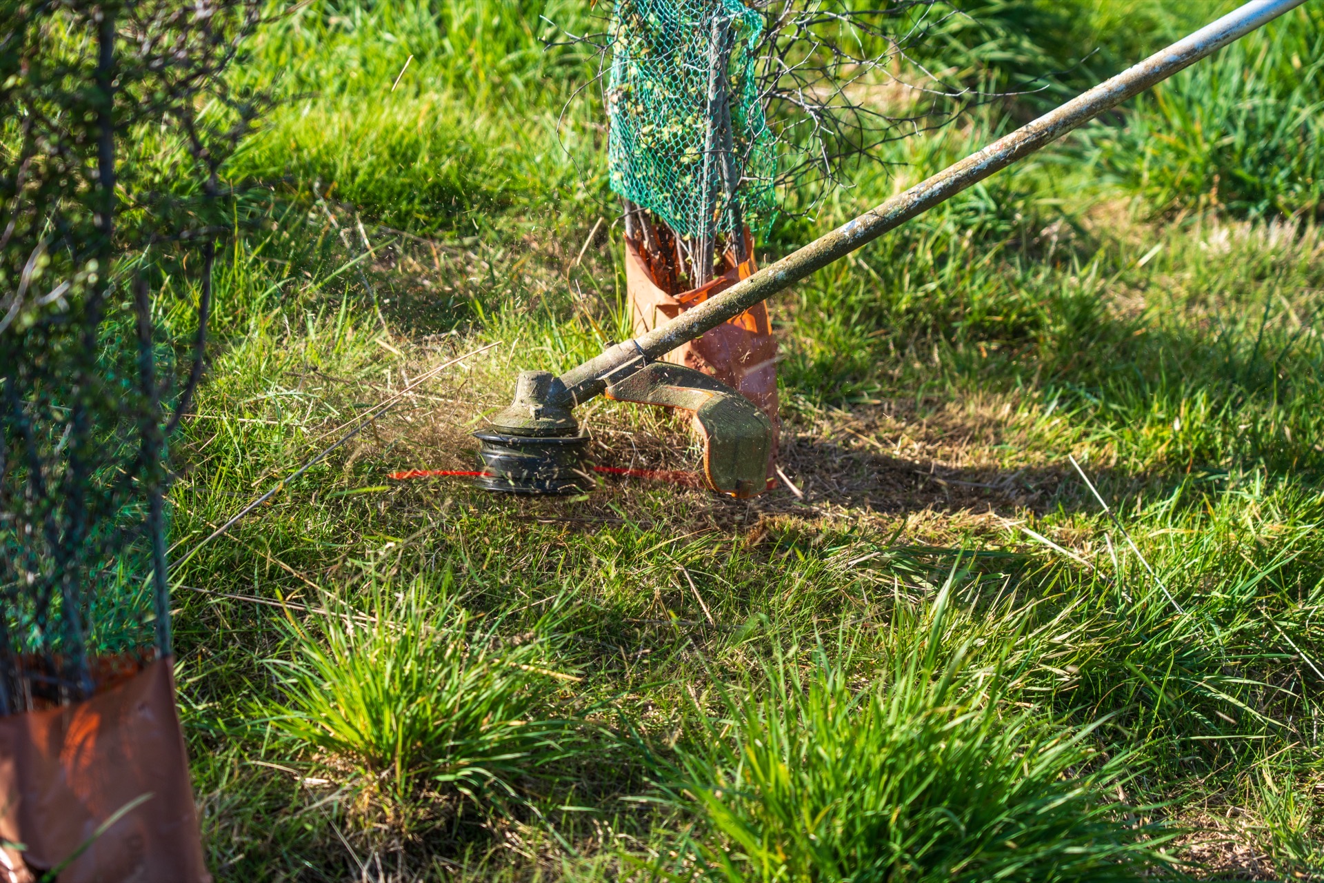 Garden work by The Tidy Yard Co.