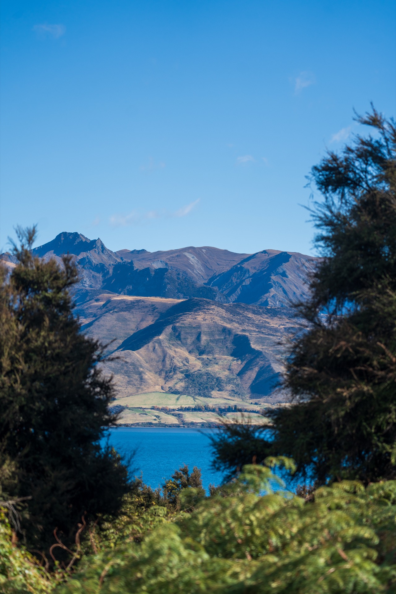 Garden maintenance Central Otago