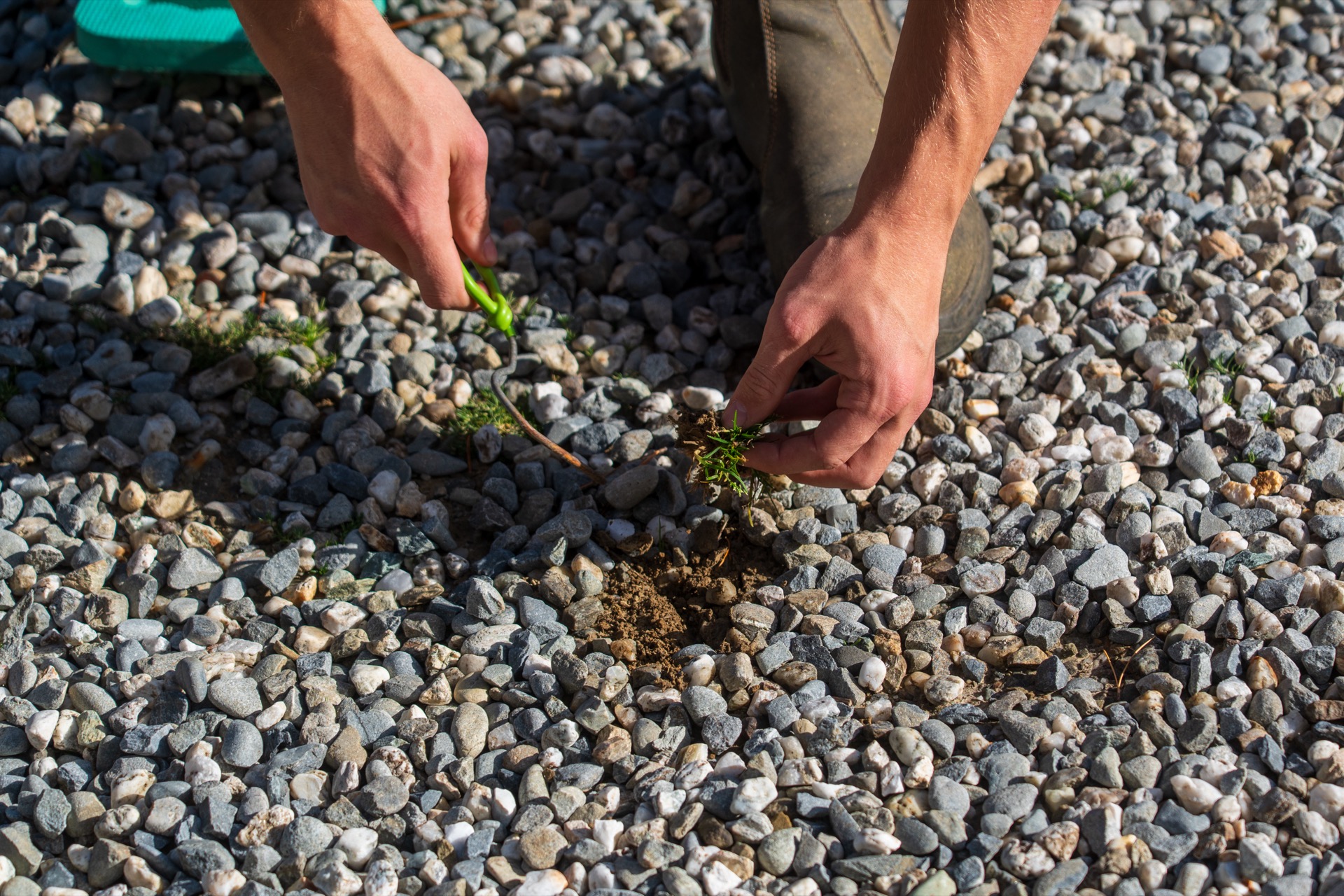 Residential garden care in Wānaka